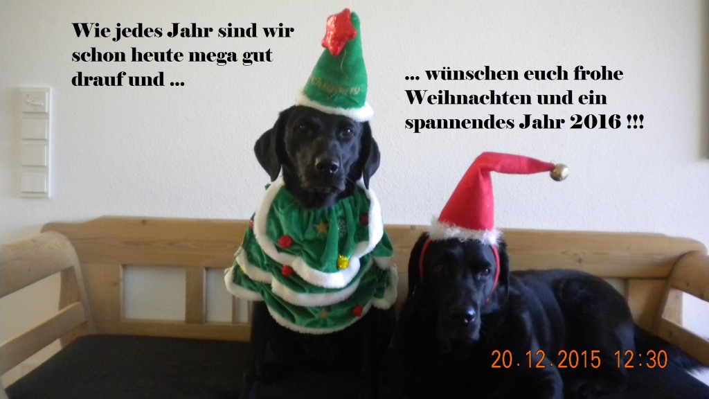 Frohe Weihnachten und einen guten Rutsch in ein spannendes Jahr 2016