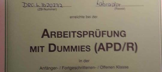 10.11.2017 – Saisonende mit Dummy A